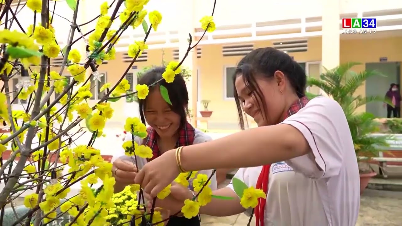 Trang trí đón xuân Quý Mão
